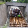 Isarflossfahrt im Juni 2009 - Bild010